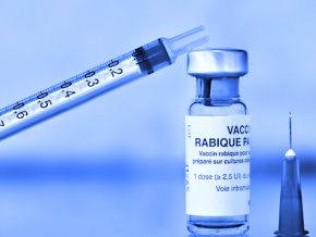 Lancement d&#039;une campagne de vaccination contre la rage canine humaine sur toute l&#039;étendue du territoire