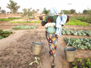 L’agence régionale pour l’agriculture et l’alimentation de la Cedeao passe en revue ses activités à Lomé