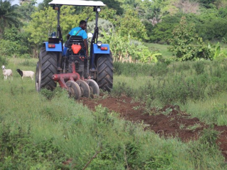 Soutien à la production, financement, gouvernance…, le Togo veut améliorer ses performances agricoles