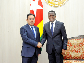 Togo-Chine : vers le renforcement de la coopération parlementaire entre Lomé et Shenzhen