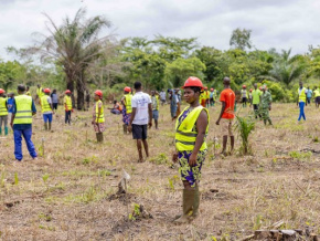 1er juin : coup d’envoi de la campagne nationale de reboisement 2023