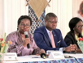 Le Togo et le Pnud font le bilan annuel de leur partenariat