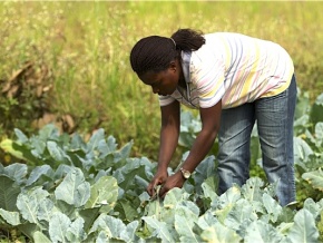 Dans le cadre des agropoles, le gouvernement cible les filières et les métiers porteurs