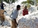 Belle percée du coton africain, dont celui du Togo, sur le marché chinois