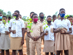 Reboisement : 1,4 million de plants mis en terre le 1er juin