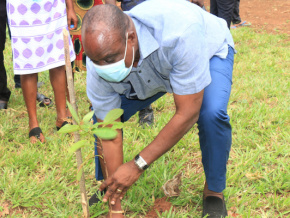 Le Togo célèbre la journée de l’Arbre