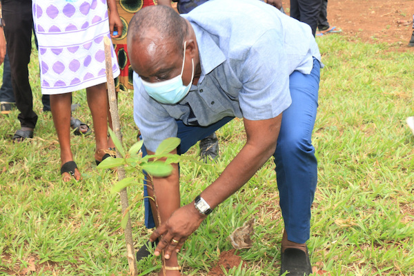 Le Togo célèbre la journée de l’Arbre