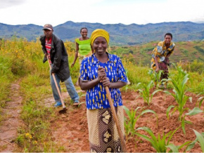 A Lomé, les experts de la sous-région échangent sur la prévention des crises alimentaires