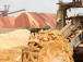 Environ 800 000 tonnes de phosphate produits en 2019