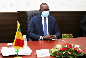 Le Conseil National de Transition du Mali en séjour au Togo
