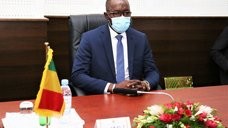 Le Conseil National de Transition du Mali en séjour au Togo